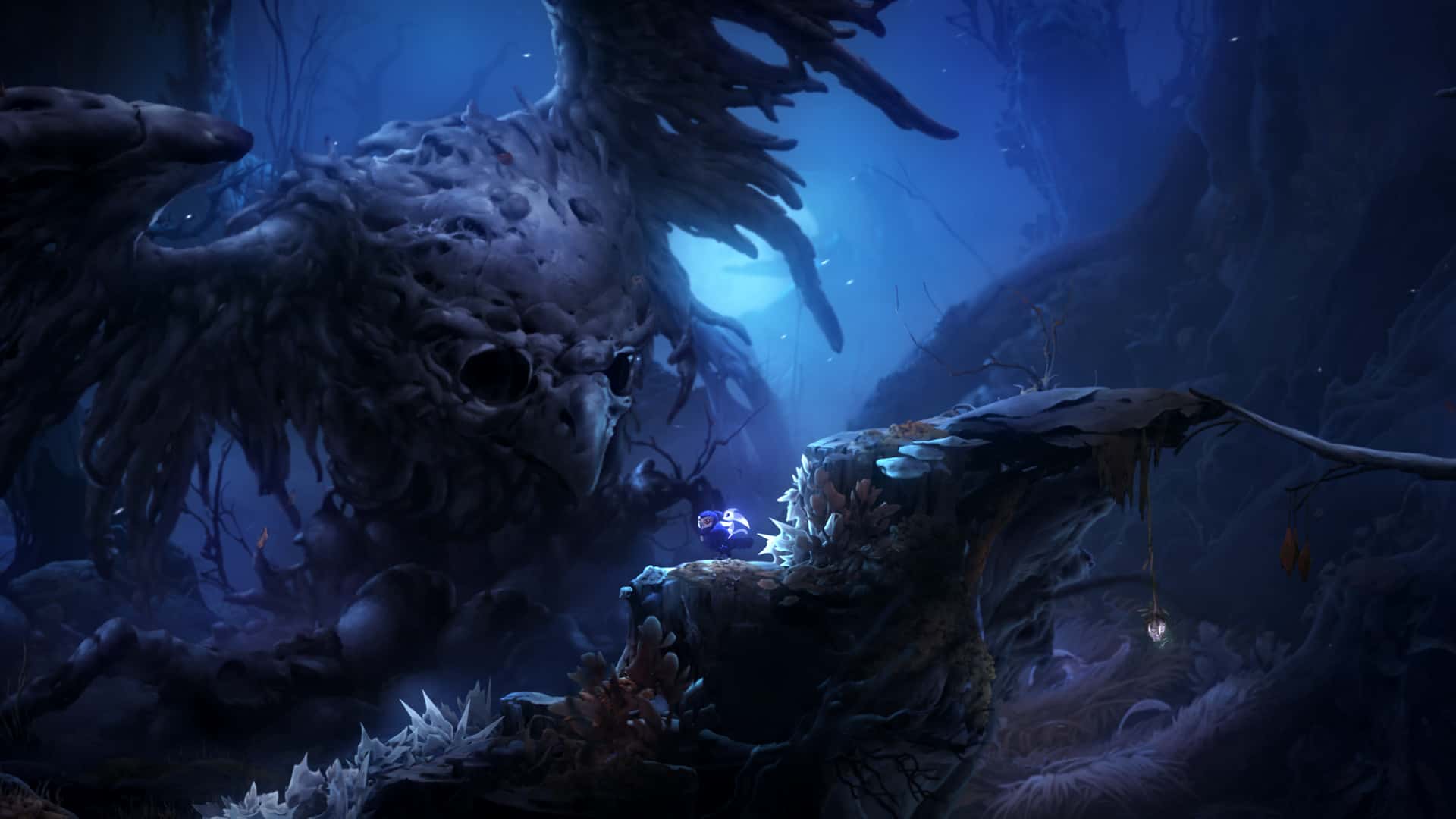 奥日与鬼火意志 精灵与萤火意志 Ori and the Will of the Wisps B.5780606 中文版游戏封面